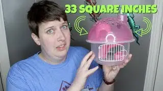 I BOUGHT THE SMALLEST HAMSTER CAGE IN THE WORLD