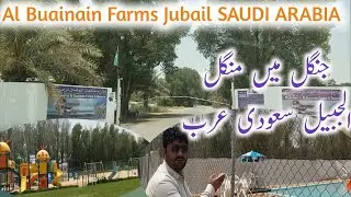 AL BUAINAIN FARM Vist  JUBAIL SAUDI ARABIA (VLOG#10)