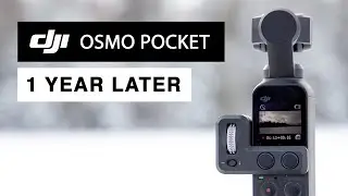 DJI Osmo Pocket Review (1 year later): Best vlog camera? Who should buy it & cinematic test footage