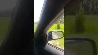 10 июня 2024 г.