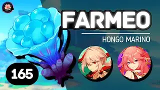 165 Hongo Marino / Guía de Farmeo - Kazuha | Yae Miko - Genshin Impact