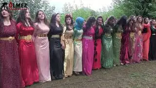 Xerzani Medeni & Necla düğünü kurdısh wedding
