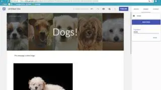 How to make a website with the New Google Sites