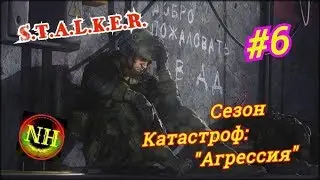 Сталкер Сезон катастроф: 