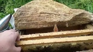 супер объединились без потерь