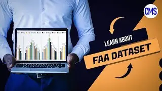 Data End-End Project For Your Resume: Data Analysis of FAA Dataset