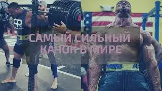 Присед 408 кг от бодибилдера? Ларри Вилс. Будущее пауэрлифтинга. Самый сильный атлет в мире?