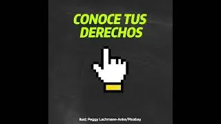 21 DERECHO DE AUTOR