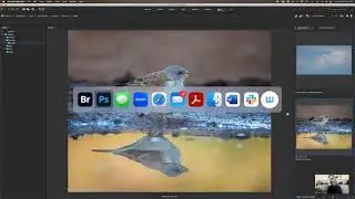 Photoshop Party - Tips and Tricks
