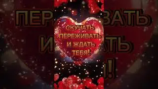 10 июля 2024 г.