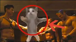 Кот Шнапи исследует подвал
