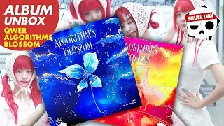 🌸UNBOXING QWER - Algorithms Blossom (내이름맑음, 가짜아이돌)🌸2nd Mini Album Reaction 큐더블유이알 미니2집 앨범 언박싱