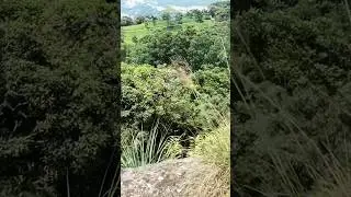 ලංකාව බං 😳🇱🇰 #trending #viral #shorts