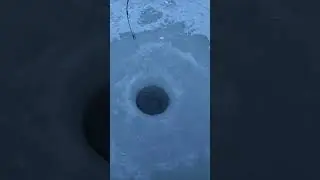 Опустил резину в лунку и сразу поклевка! 