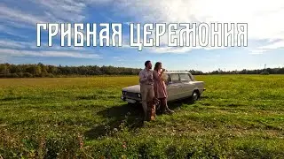 Опята заполонили лес||Грибная церемония||Осенний сбор Грибов 2023