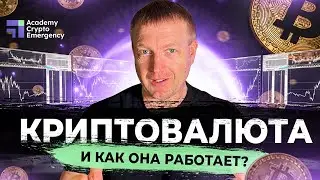 Основы Криптовалюты | Обучение | Academy Crypto Emergency