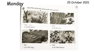 Unit 3 Camouflage