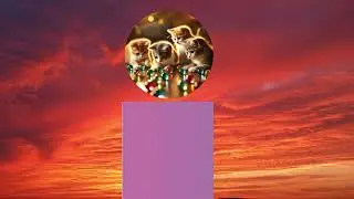 funny marble racing