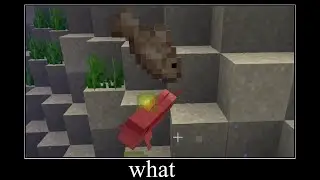 Minecraft Fish... What.