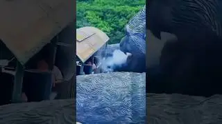 the sisters saw something terrible#shorts