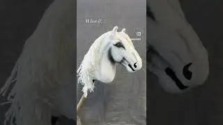 Transformation from Hobby Horse to Unique Hobby horse to Unicorn!  