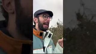 IPHONE 14 Plus VS IPHONE 13 Pro Max