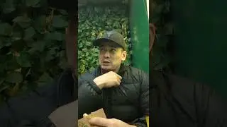 ОХОТА НА ТОЛКАЧЕЙ. ЧАСТЬ ПЯТАЯ.