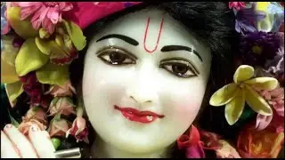 Krishna Chalisa - Shri Krishna Chalisa in Hindi & English Lyrics