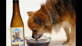mundo de micheladas