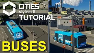 Road to Success with Buses in Cities Skylines 2 | Tutorial