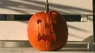 The Pumpkin on the Porch
