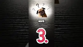 Dog language #shorts