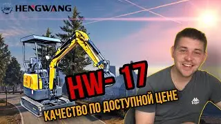 Heng Wang HW 17 Review