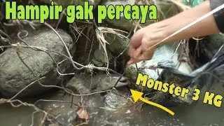 Fishing the Eel monster, giant candidate, weighs 3 KG