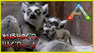 🔥 Стрим ARK : Survial Evolved Живность (релакс - 06)
