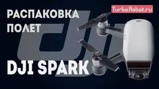 DJI Spark. Распаковка, активация и основные функции