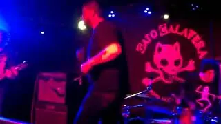 Working Class - Violencia Gratuita (Zalgarriana Cover) /Gato Calavera 05.10.19.