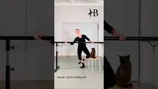 Ballet Impro For Herbert My Cat #ballet #cat #shorts