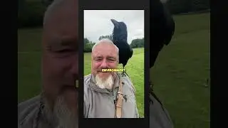 Can Ravens Talk?