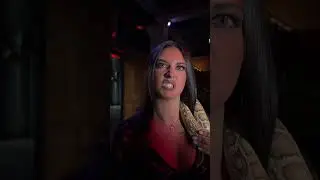 🐍