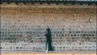 [𝘗𝘭𝘢𝘺𝘭𝘪𝘴𝘵] 우린 이제 한 장의 사진이 된거죠 |  [4K]