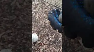 Наша мышь родила 😃😁😂#геологоразведка #золото #мтлб #тайга #разведка