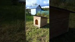 Утепленная собачья будка для собаки Хаски своими руками за 1 день высочайшего качества