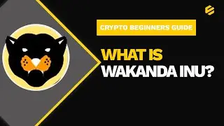 Beginners Guide: What is Wakanda Inu?
