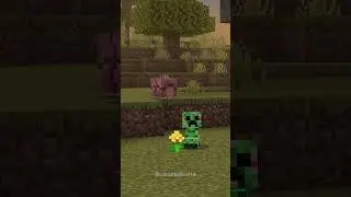 Our morph add-on has a new update! #minecraft