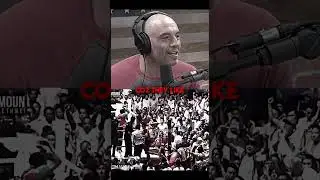 Joe witnessed the CRAZIEST fight ever 