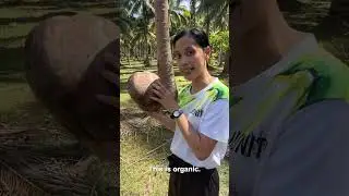 World Coconut Day and Power of Organic Farming