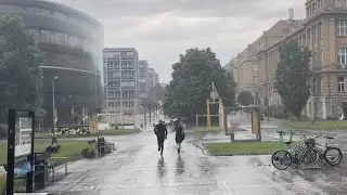 Rain