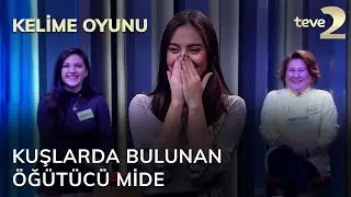 Kelime Oyunu: Kuşlarda bulunan öğütücü mide