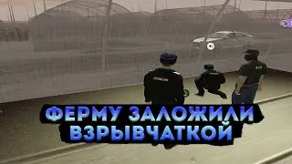 ФЕРМУ ЗАЛОЖИЛИ ВЗРЫВЧАТКОЙ! БУДНИ В ППС! АМАЗИНГ РП GTA CRP